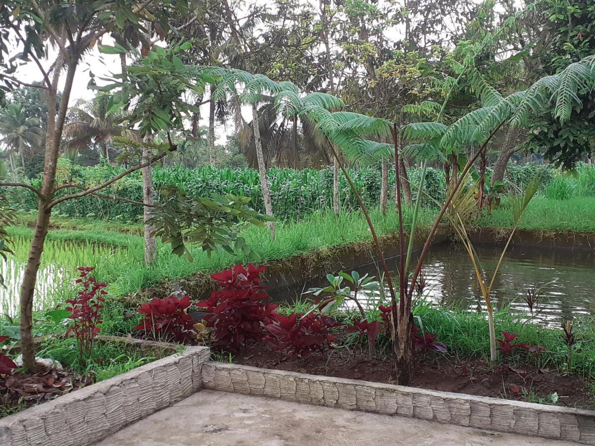Eltari Homestay تيتيباتو المظهر الخارجي الصورة
