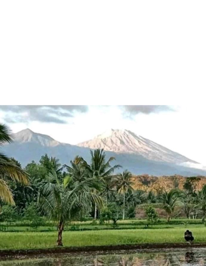 Eltari Homestay تيتيباتو المظهر الخارجي الصورة